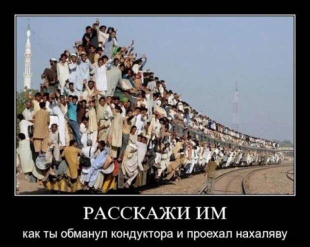 Демки порция.