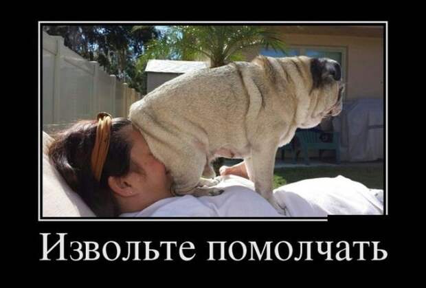 Демотиваторы демотиваторы, юмор