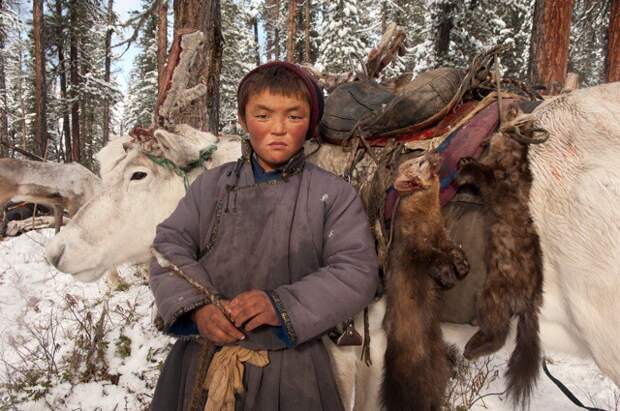 Тайга Hamid Sardar–Afkhami, фотограф