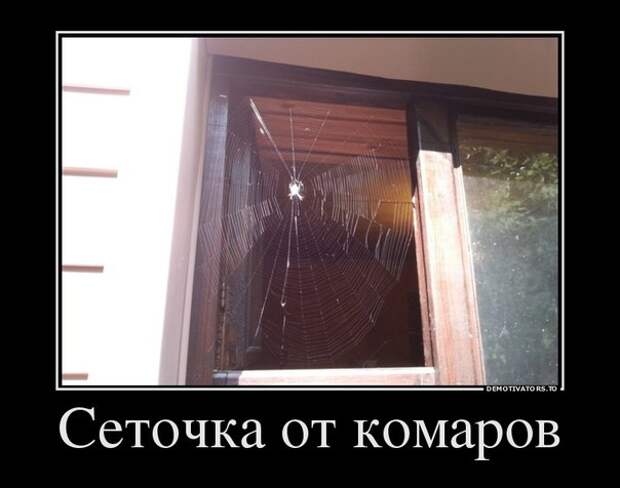 Демотиваторы демотиваторы, новые, ржака, смех. картинки