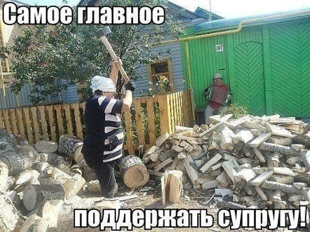Смешные картинки с подписями катинки, прикол, юмор