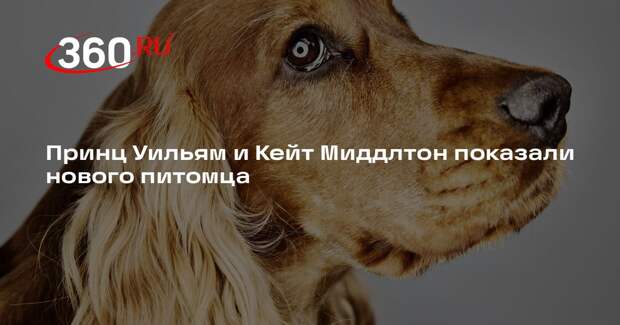 Принц Уильям и Кейт Миддлтон показали нового питомца