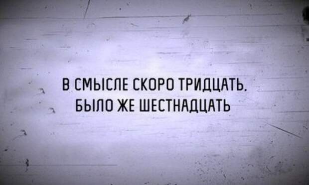 Поржачная солянка! #33