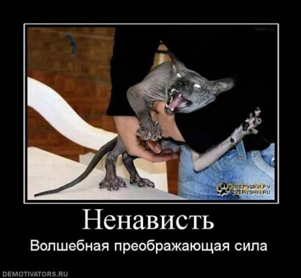 Демотиваторы серьезные, читать под настроение.