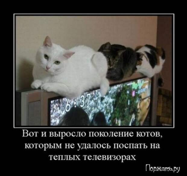 Быстрый поиск Демотиваторов (21 фото)