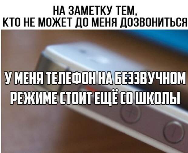 Подборка веселых надписей к фотографиям и картинкам (10 фото)