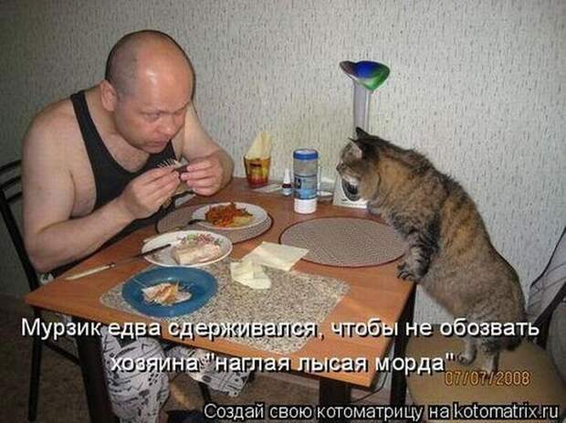 Мысли вслух :)