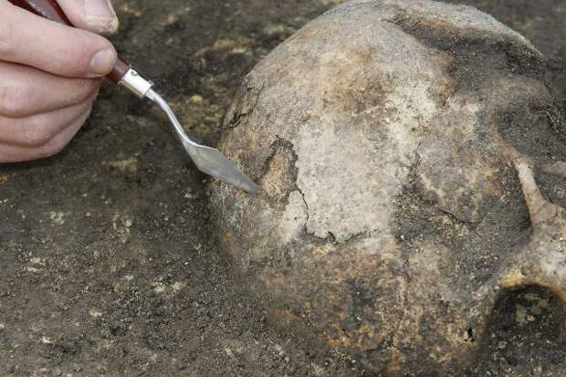 Человеческие кости обнаружены в канаве на юге Москвы