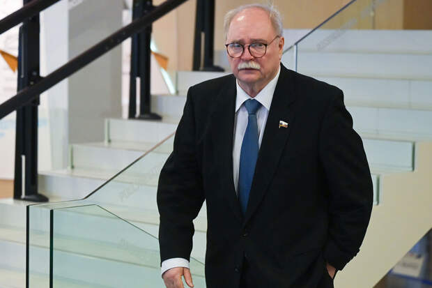 Режиссер Владимир Бортко напишет сценарий к ремейку "Бандитского Петербурга"