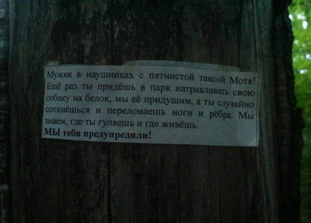 Душевный копирайтинг от народа написи, объявление, позитив, юмор