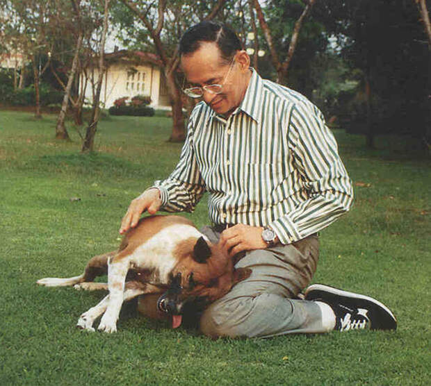 King Bhumibol Adulyadej in 2002 with Tongdaeng