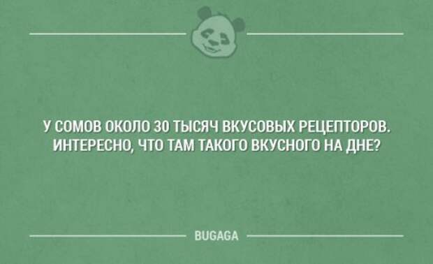 Картинки с прикольными надписями (14 шт)