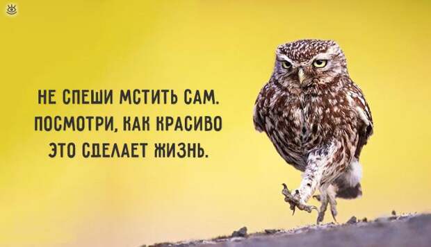 Разгрузочный день! 7