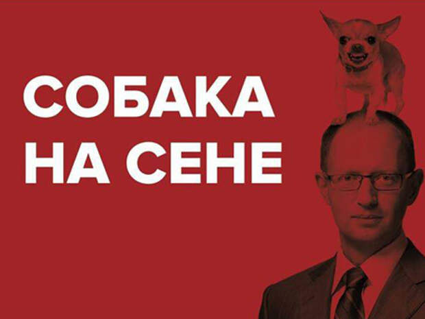 Яценюк - собака на сене