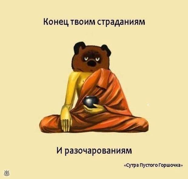 Безумные весёлости с людьми и животными 25
