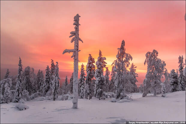 Зима в Лапландии / Winter in Lapland