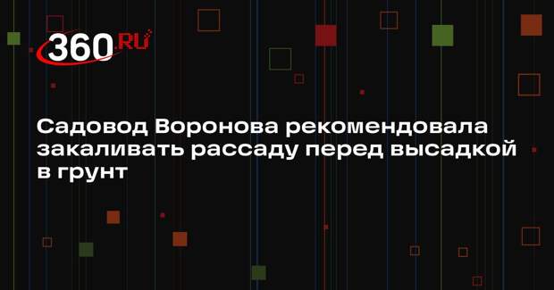 Садовод Воронова рекомендовала закаливать рассаду перед высадкой в грунт