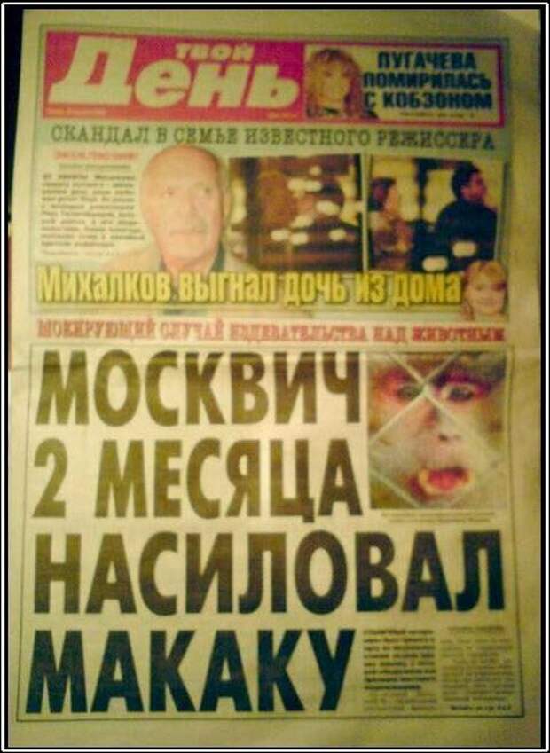 Одинокие сердца в поиске компании Одинокие сердца в поиске компании одиночество, поиск любви, прикол, совсем один), соцсети, холостяки, юмор