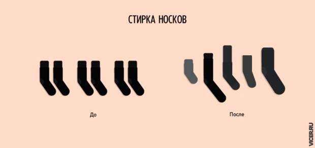 Правдивые инфографиков о нашей жизни