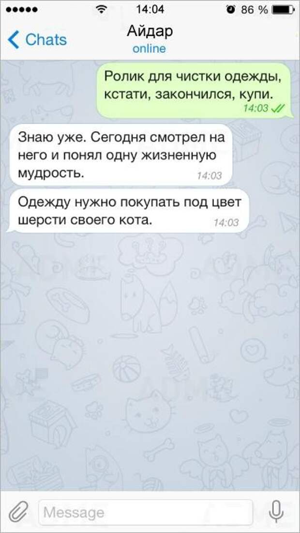 15 СМС от людей с бесценным жизненным опытом смс, юмор