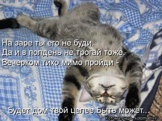 Котоматрицы