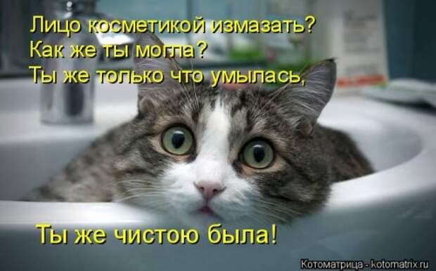 Лучшая котоматрица на Бугаге (29 шт)