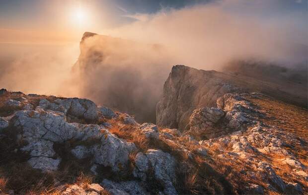 naturephotocamp.ru