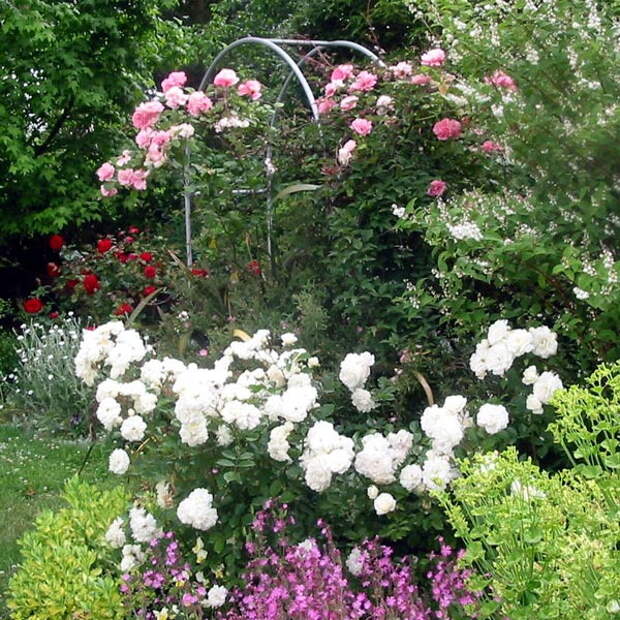 4497432_rosesingardeninspiration13 (600x600, 168Kb)