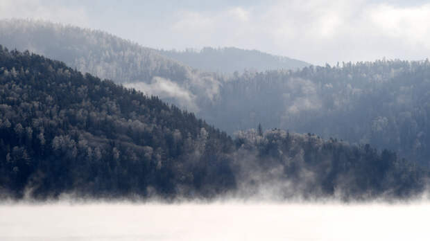 Голосовые дроны искали пропавших Усольцевых в красноярской тайге