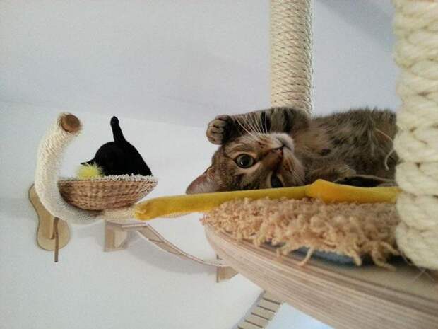 мебель для котов