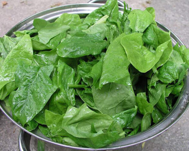 10 продуктов, помогающих вывести никотин из организма