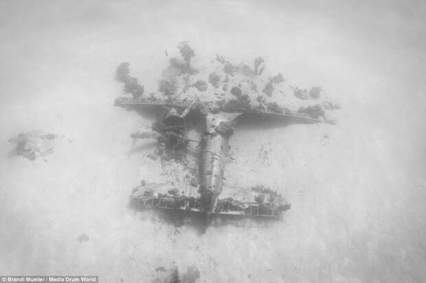 Подводное кладбище самолетов времен Второй мировой войны находка, океан, самолет
