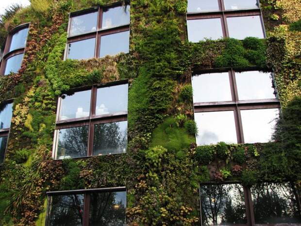 green-design-ideas-inspired-by-nature-2-17-2