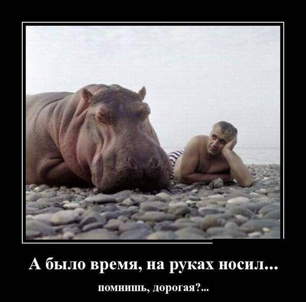 Пост юмора прикол, юмор