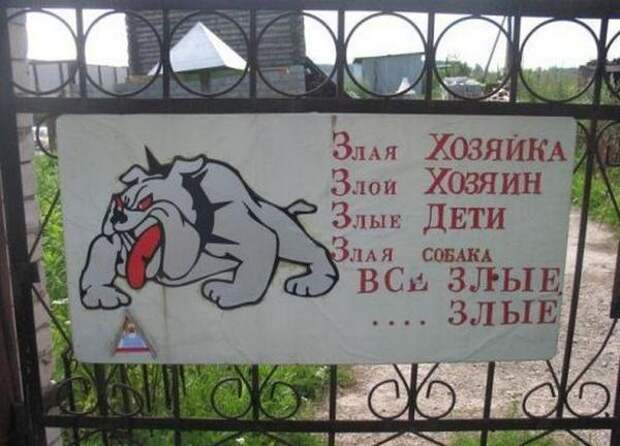 Здесь злые все. Фото с сайта dog-is-life.blogspot.com