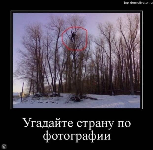 Не сдавайся никогда! 11