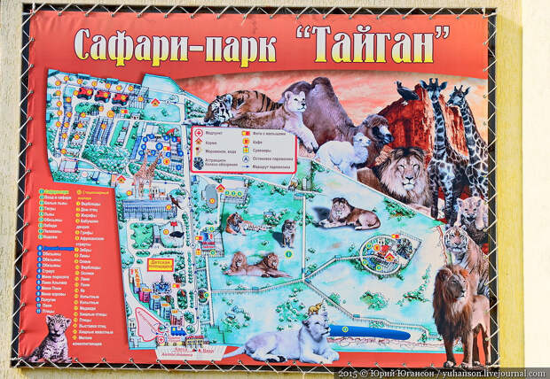 Карта сафари-парка Тайган