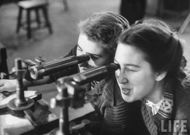 Московский государственный университет  в 1956 году
