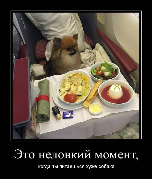 Демотиваторы №1037 (30 фото)