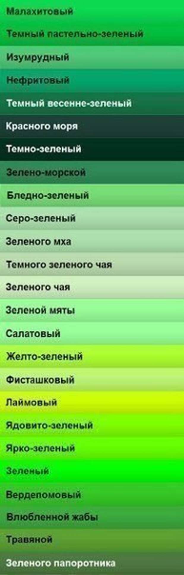 Какой цвет салатовый