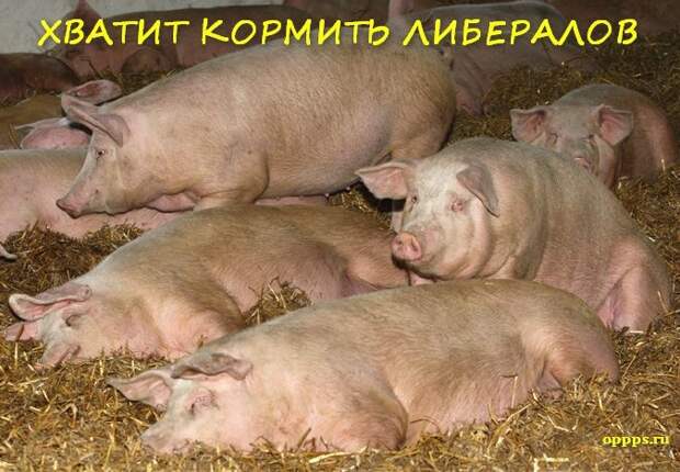 Враги Народа: Хватит кормить либералов!
