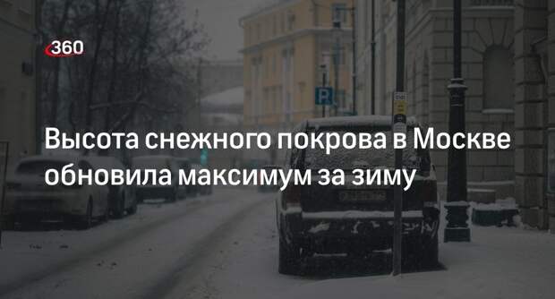 Специалист «Фобоса» Синенков: высота снежного покрова в Москве достигла 38 сантиметров