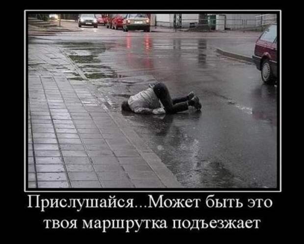 Сборник демотиваторов для всех