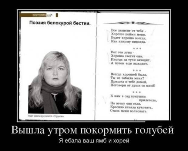 Демотиваторы дня