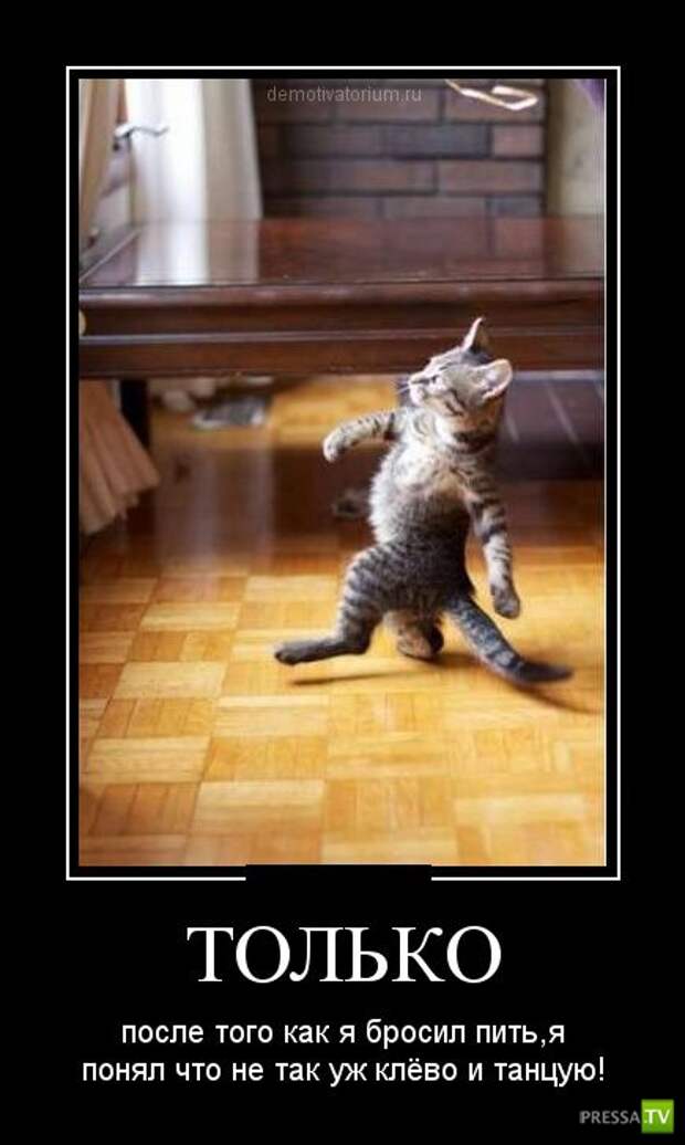 Демотиваторы на сентябрь 3, (30 фото)