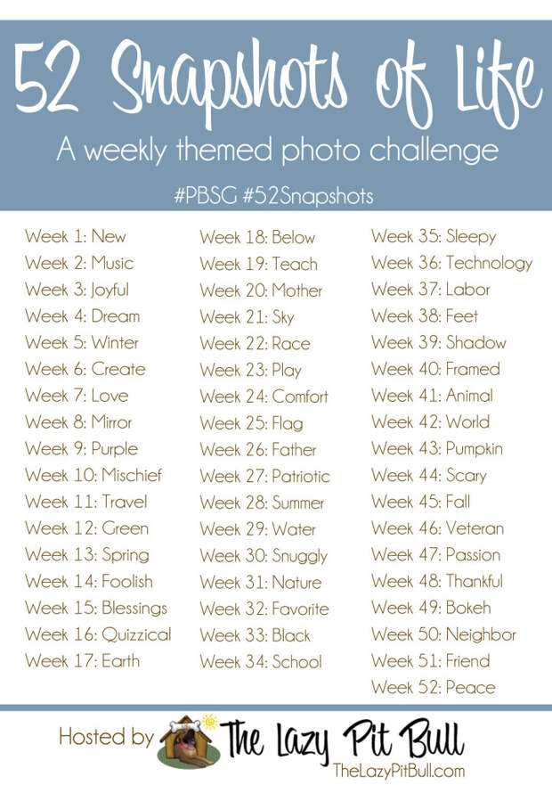 52 Snapshots of Life-large