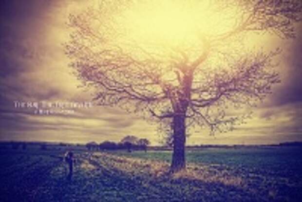 ФОТОГРАФ MIKE SHAW 39