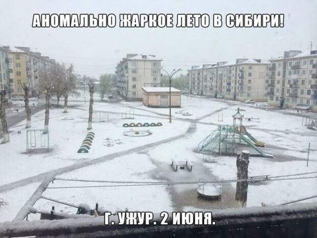 Смешные картинки с подписями катинки, прикол, юмор