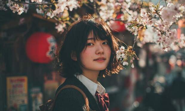 Как поступить в японский вуз: стипендия от правительства Японии и список университетов