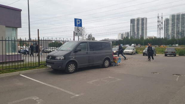 "Полиция нам нипочём": В пригороде Петербурга этническая группировка терроризирует местных жителей